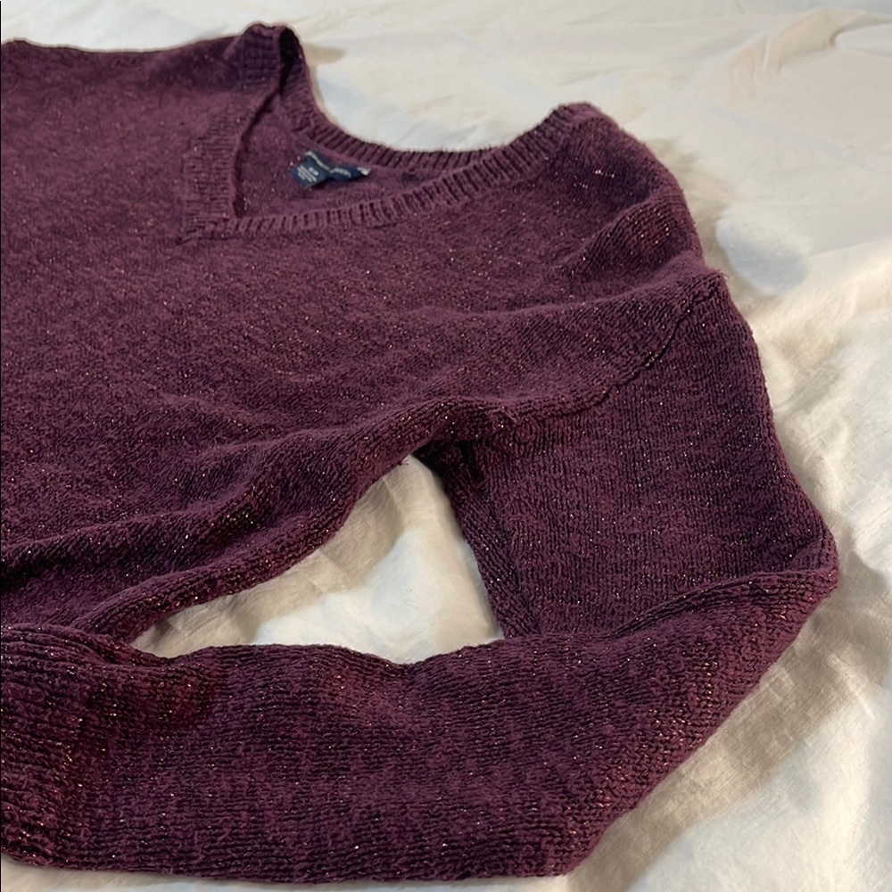 American Eagle Outfitters Rich Burgundy V-Neck Sweater Size Small - Picture 1 of 11